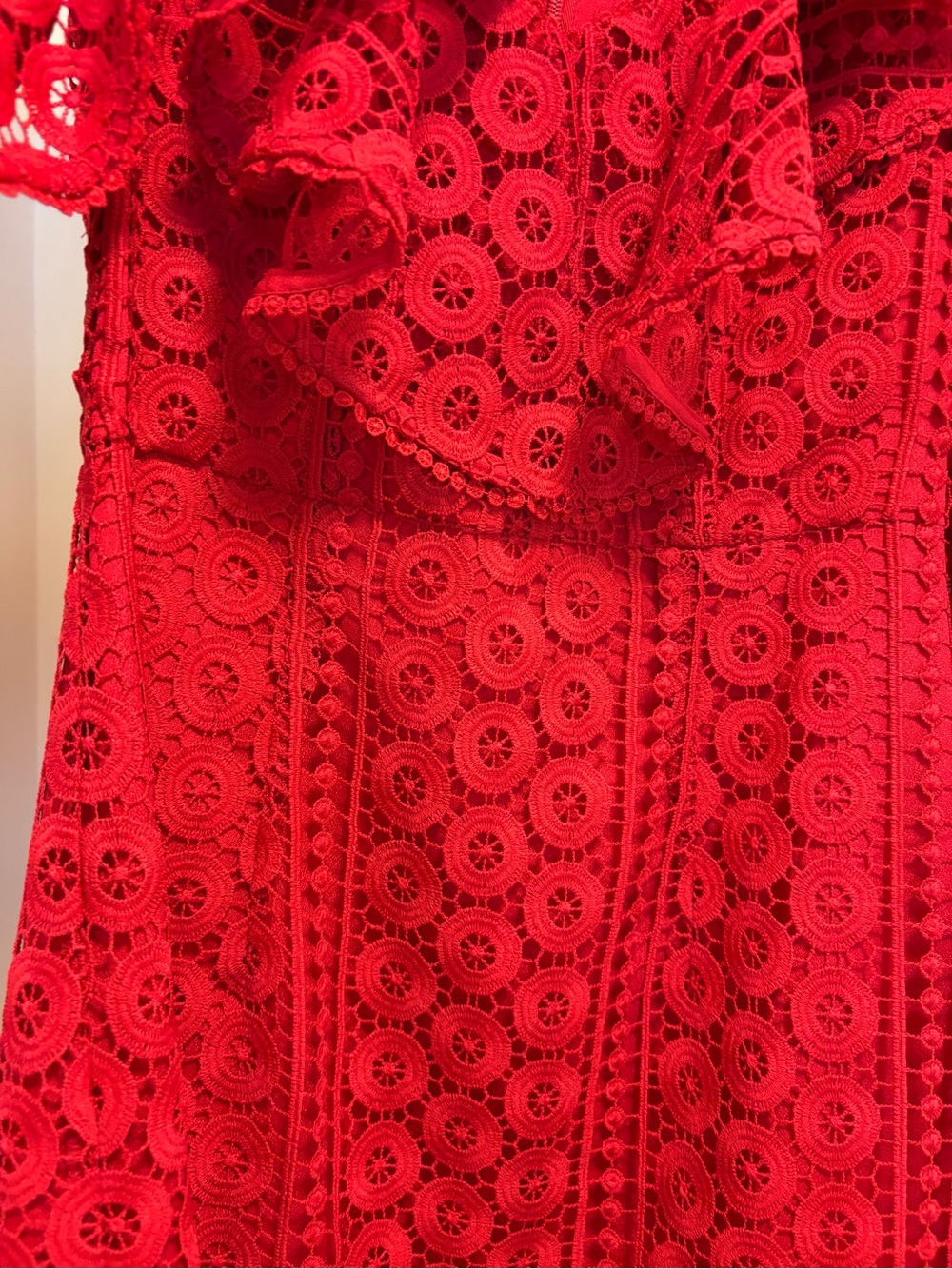 BCBG Red Lace Ruffle Mini Dress - Picture 3 of 3